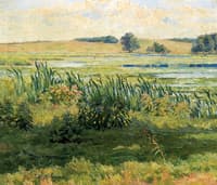Still Waters