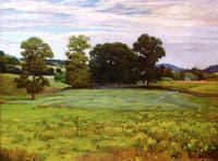 March Meadows