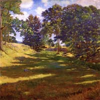 Summer Afternoon