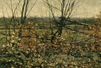 Bare Trees and Shrubs