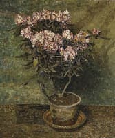 Rhododendron