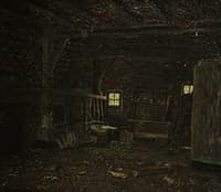 Interior of a Shed