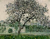 Blossoming Fruit Tree