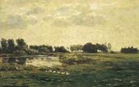 Water Meadows