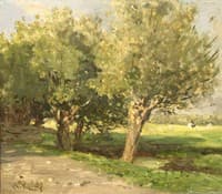 Willow Trees