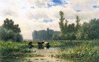 Cows at the Waterside