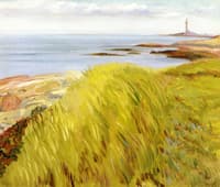 Grassy Dunes, Gloucester