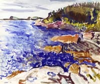 Maine Coast