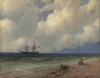 The Seashore