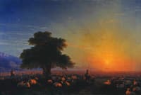 Sheep