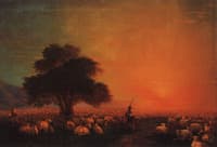 Sheep