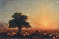A Flock of Sheep