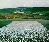 Flower Meadow in the North