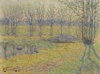 Meadow Pond