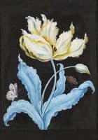 Tulip and butterflies