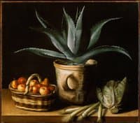 Still Life with Aloe Vera
