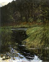 Shady Brook
