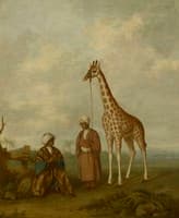 The Nubian Giraffe