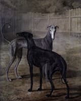 Rolla and Portia