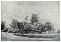 Kasteel Rietwijk in Heemskerk