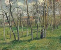 The Prairie at Bazincourt