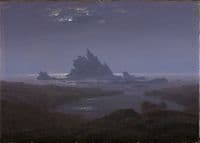 Reefs by the Seashore