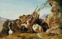 Study of rocks and roots near Olevano