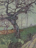 Tree in Landscape