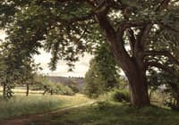 Landscape with a Tree