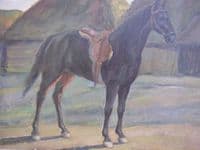 A Horse