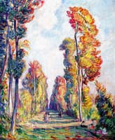 Tree Lined Alley