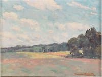 Untitled (Field)
