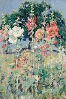 Hollyhocks