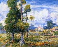 Mango Trees, Rio Piedras