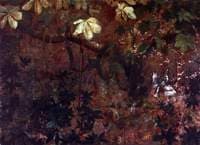 The Fairie Wood