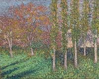 Fruit Trees and Poplars