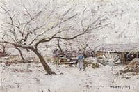 The Garden in Winter