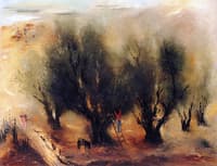 Olive Trees