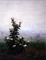 Flowering Chrysantehmums With Worker