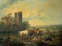 River with Cattle