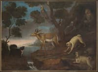 Bengalese Deer Attacked by Pugs