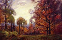Evening