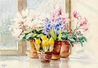 Flowers in a window sill