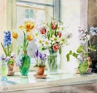 Flowers in a window sill