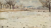 Bonn am Rhein. Winter Landscape
