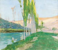 Poplars Growing near a Watercourse