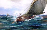 With the Wind