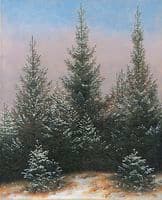 Fichtendickicht in the Snow (From the Dresdner Heide I)