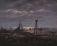 A Swampy Beach