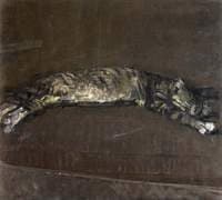 Sleeping Cat